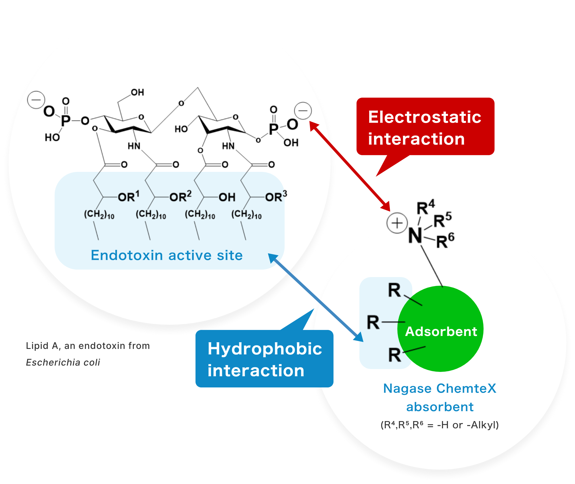 Low Endotoxin image
