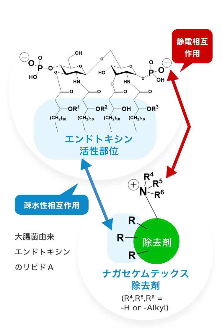 Low Endotoxin image