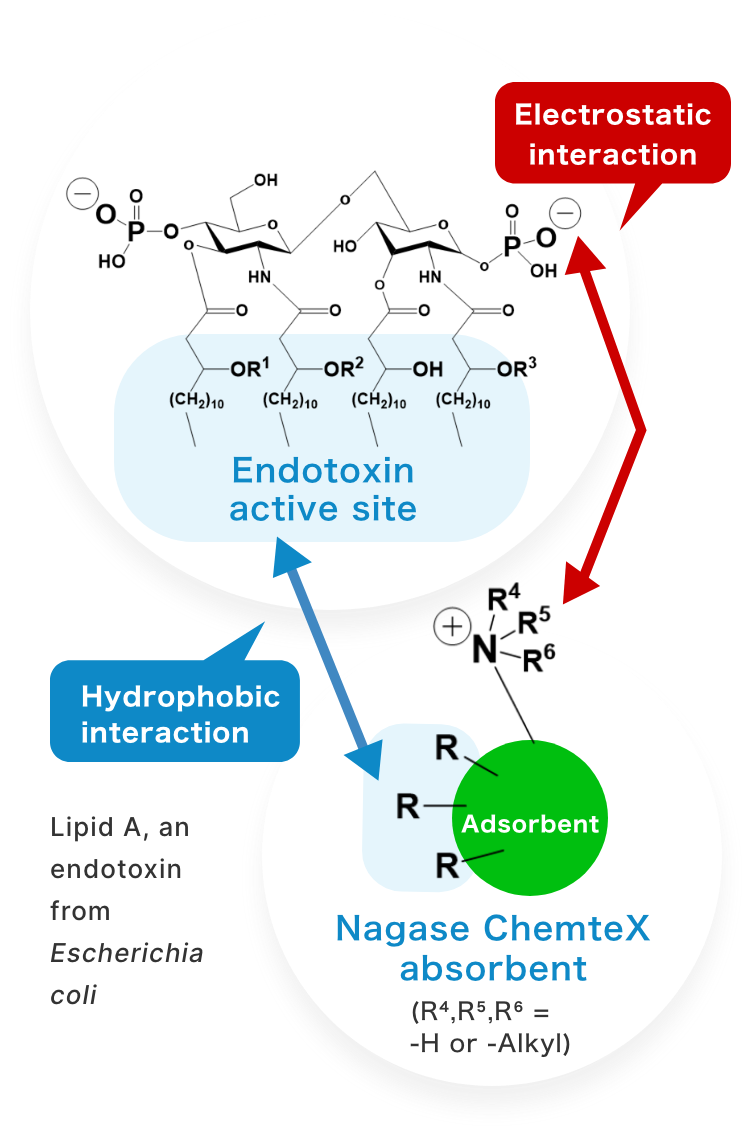 Low Endotoxin image